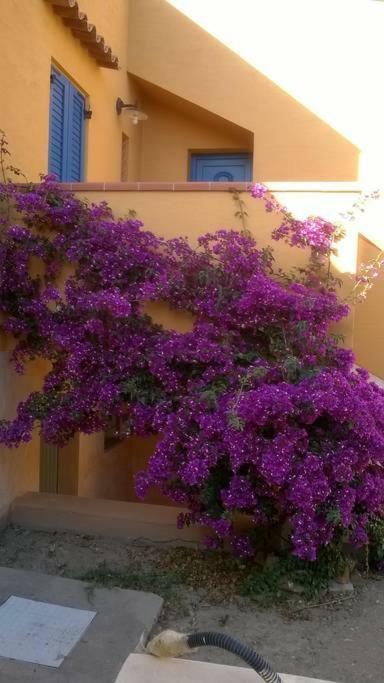 Casa Sa Ide Villa Torre dei Corsari Exterior photo